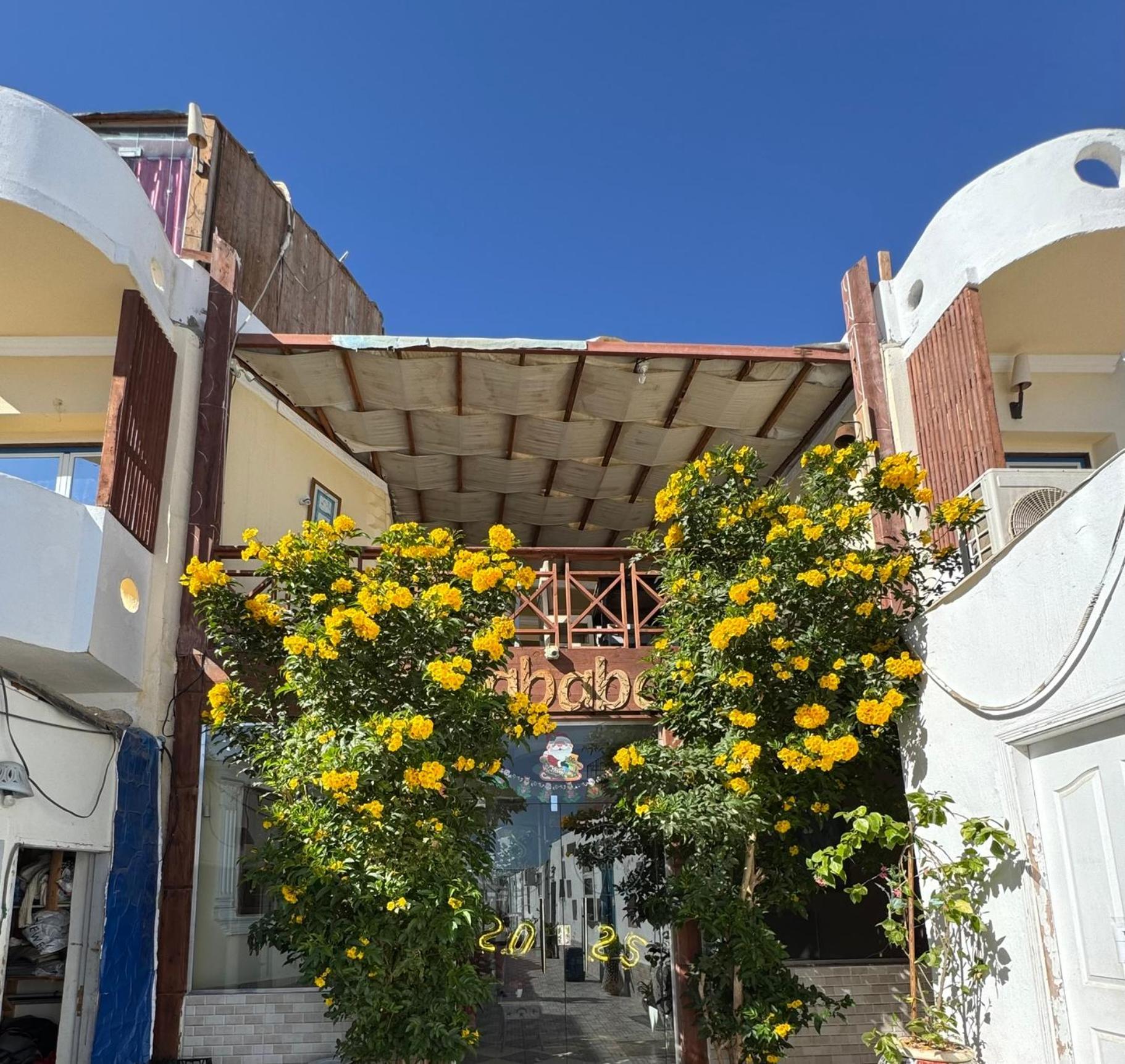 Sababa Hotel Dahab Extérieur photo